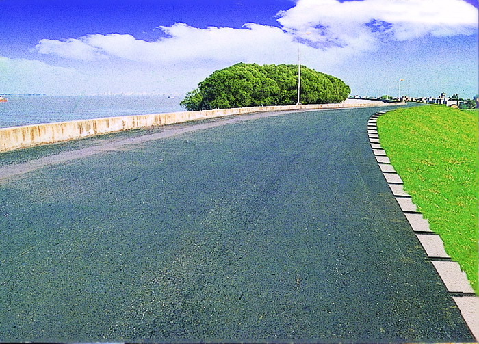 長江九江段濟益公堤頂公路